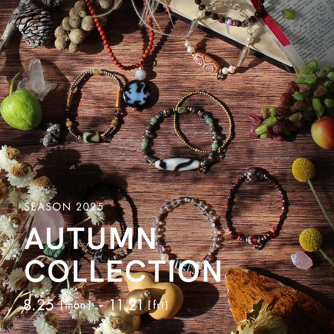 2025 Autumn Season Collection